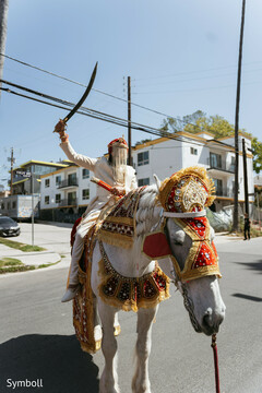 A Grand Entrance Fit for a Maharaja