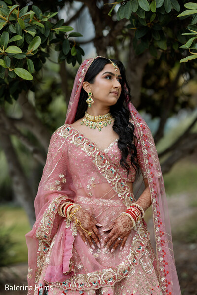 bridal portrait pink lehenga,outdoor bride portrait,indian bride elegance,bridal jewelry details,mehndi hands,natural light portrait,romantic bridal look,pre wedding portrait,soft tones bride,garden setting