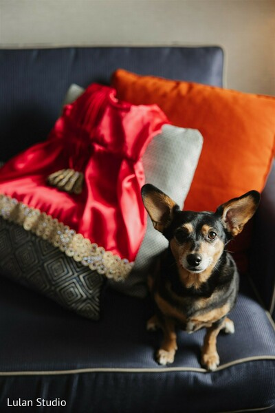 photo #443402