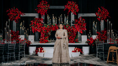 A Vision in Elegance