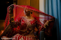 Beneath the Veil of Timeless Beauty