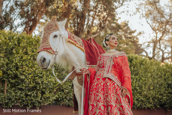 Elegance Beside a Majestic Companion