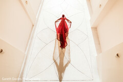 The Beauty of the Bridal Veil