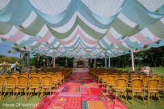 Elegant Outdoor Celebration