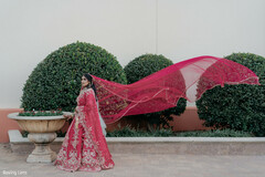 Crimson Elegance in Motion