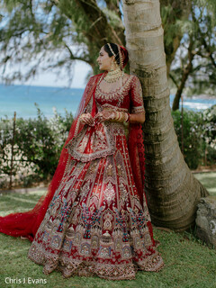 Crimson Elegance Meets the Coast