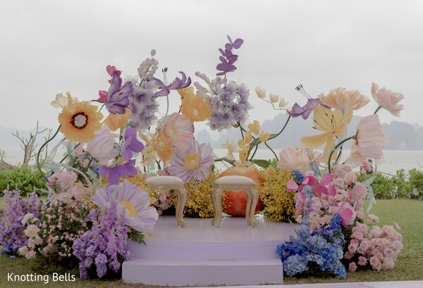 photo #448702