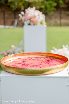 Golden Tray with Red Petals and Water