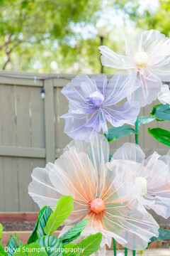 Dreamy Sheer Fabric Floral Decor for Outdoor Celebrations