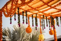 Haldi Decor Haldi Decor