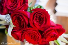 photo #74272 photo #74272