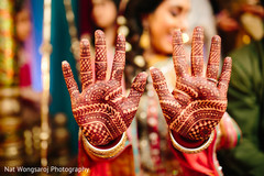 Mehndi Mehndi