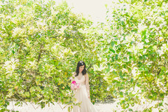 photo #78564 photo #78564