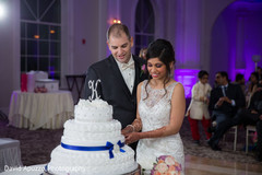 Cake Cutting at Reception Cake Cutting at Reception