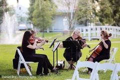 string quartet string quartet