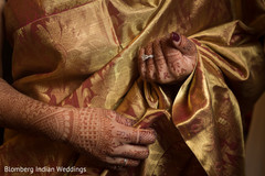 Beautiful bridal red and gold sari Beautiful bridal red and gold sari