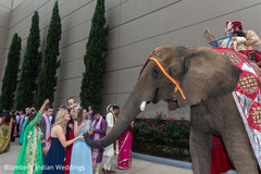 Amazing elephant during Indian wedding