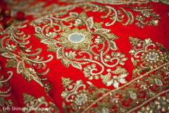 Beautiful details in red and gold wedding sari Beautiful details in red and gold wedding sari