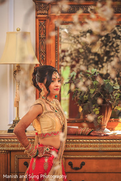 Indian Bridal Portrait Indian Bridal Portrait