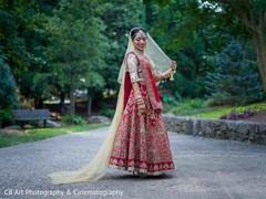 Maharani's pre wedding photoshoot red and gold bridal lengha,red and gold bridal sari