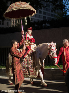 Lovely baraat horse Lovely baraat horse