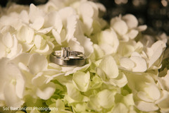 Indian wedding rings indian wedding rings,indian wedding photography