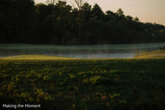 Beautiful golf course landscape Beautiful golf course landscape