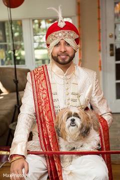 Lovely capture of indian groom with his pet. Lovely capture of indian groom with his pet.