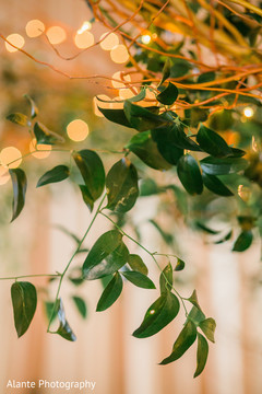 Wedding decor with plants Wedding decor with plants