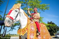 Indian groom riding baraat horse Indian groom riding baraat horse
